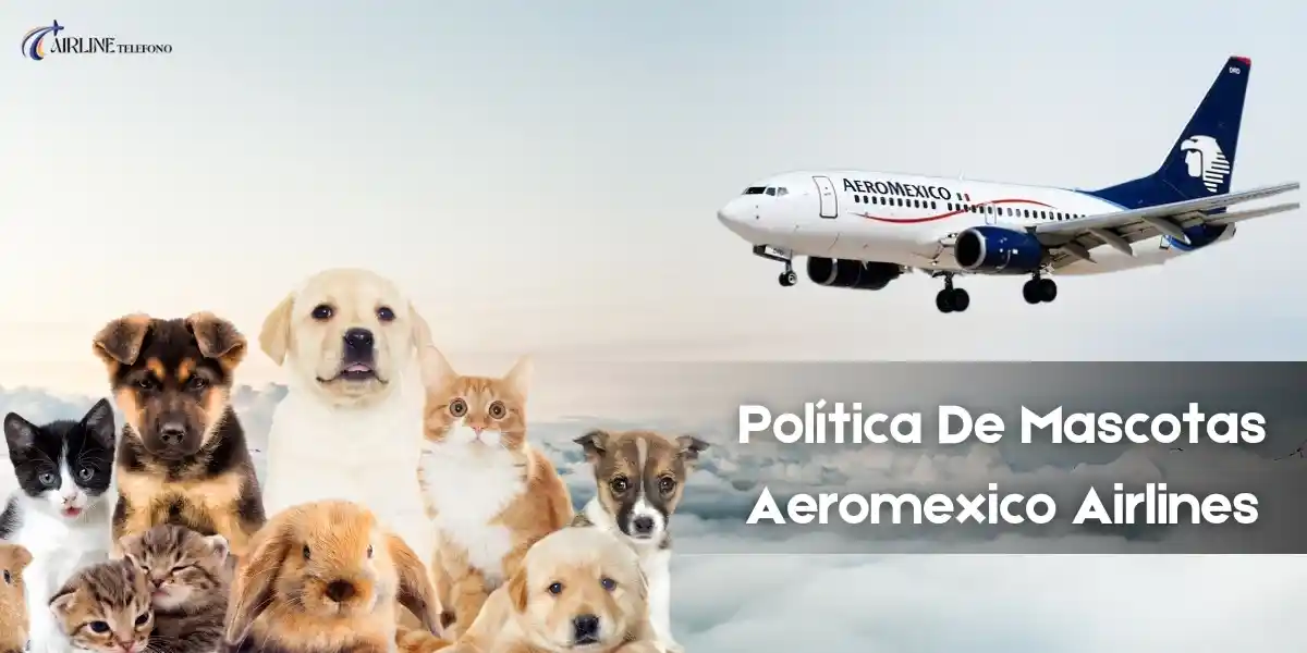¿Cómo agrego una mascota a mi vuelo en Aeroméxico?
