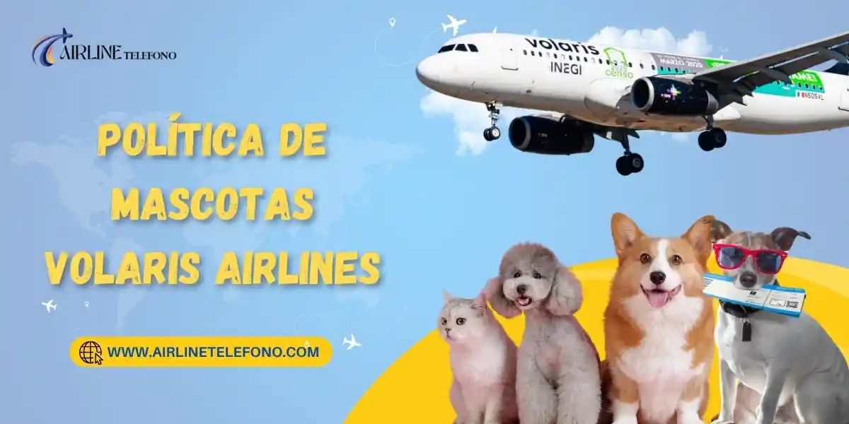 Política de mascotas Volaris Airlines