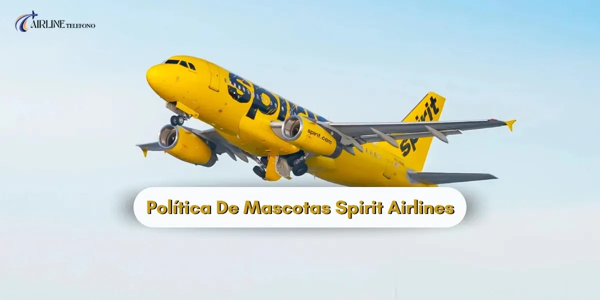 ¿Cuál es la Política de viajes de mascotas de Spirit Airlines?